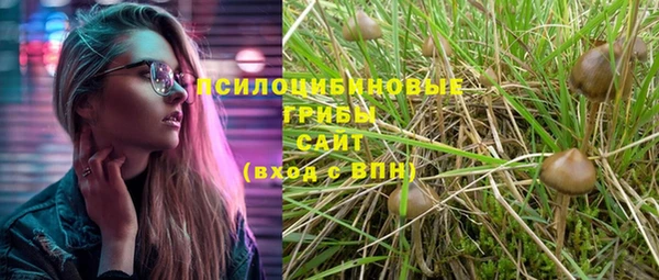 стаф Нефтекумск