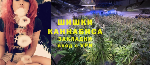 ГАЛЛЮЦИНОГЕННЫЕ ГРИБЫ Навашино