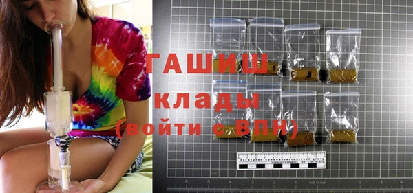 шишки Билибино