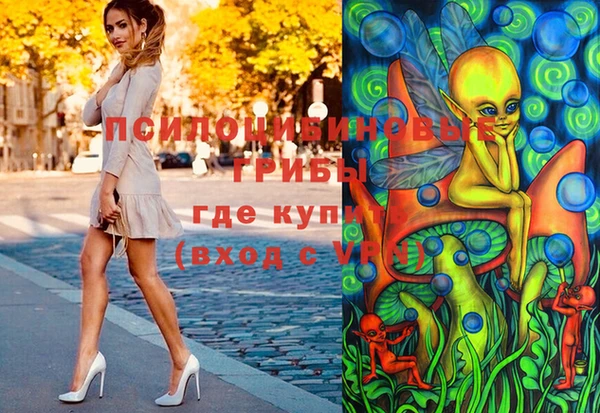 стаф Нефтекумск