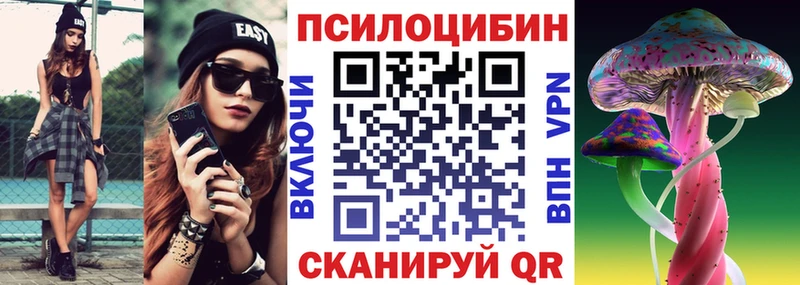 где продают   Николаевск-на-Амуре  Галлюциногенные грибы MAGIC MUSHROOMS 